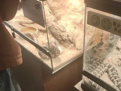 -姑苏二十四集(iD PARK 歌林公园店)