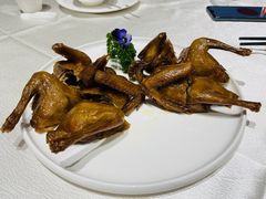 乳鸽-光明招待所(邦凯科技园店)