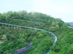 -铜川市金锁关石林