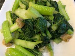 猪油渣菜心-美极鲜食坊(宝安南路店)