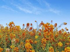 -中国天府农业博览园