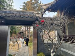 -梅园