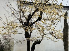 -拙政园