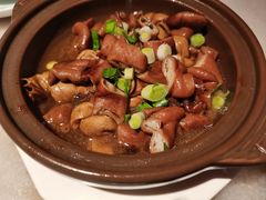 -東大方(湖州白鹭迎店)