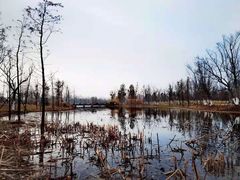 -狼山风景名胜区