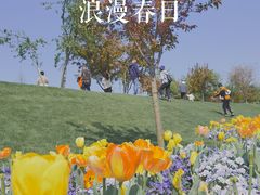 -上海辰山植物园