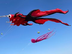 -潍坊滨海云门国际风筝放飞场