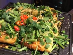 包浆豆腐-今朝桃花醉川菜小酒馆(龙湖天街店)