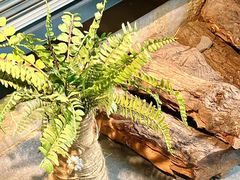 -老李家土菜馆·安吉地标美食