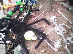 -证大大拇指广场(芳甸路店)