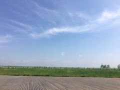 -盐城丹顶鹤湿地生态旅游区