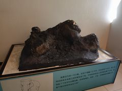 -周口店北京人遗址公园