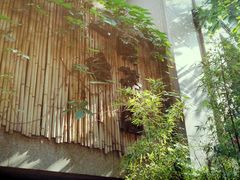 -柴务处·柴犬主题狗咖