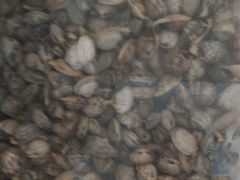 -宾朋海鲜特色美食餐厅·纯手工鲅鱼水饺(兴海路店)