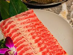 -禄婶鸡煲·打边炉