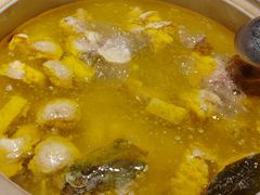 泉水鲜鸡汤-先机泉水鸡汤(南山老君洞店)