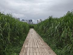 -汉江湾体育公园