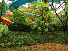 -杭州开元森泊度假乐园