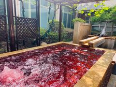 -春晖园度假酒店温泉