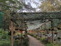 -北海金海湾红树林生态旅游区