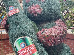 -青岛啤酒博物馆