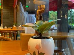 -丹江渔村(望京店)