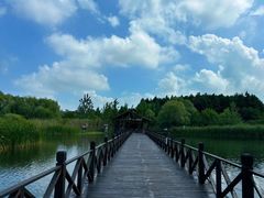 -溱湖国家湿地公园