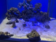 -常州海昌海洋探索馆