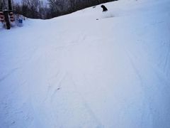 -亚布力新体委滑雪场