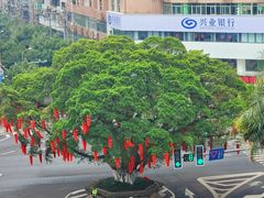 -燕江楼(燕东店)