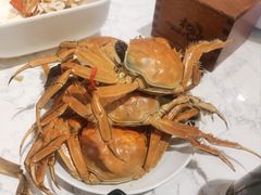 -初色海鲜自助(新辰里亚运村店)