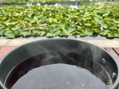 -月湖风景区