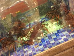 -顺峰(南二环店)