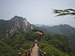 -大岭沟猕猴桃谷风景区
