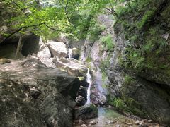 -牛背梁国家森林公园