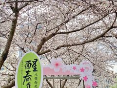 -西北湖绿化广场