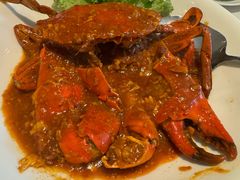 -莆田餐厅(吉隆坡柏威年广场店)