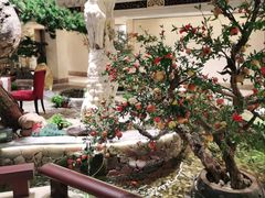 -顺峰(农展馆店)