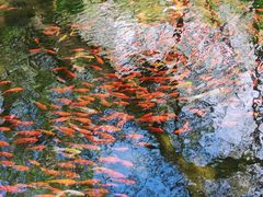 -水磨沟公园