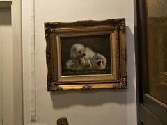 -TrueLove @ Neverland (Husky Cafe)