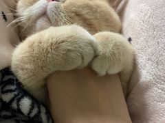 -MOSSO德国餐厅·音乐酒吧(环宇荟店)