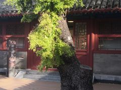 -于谦祠