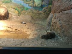 -福州罗源湾海洋世界旅游区