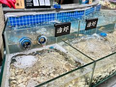 -汉阳廷自助烤肉·火锅(万丰海岸城店)