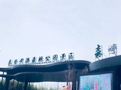 门面-黄海国家森林公园