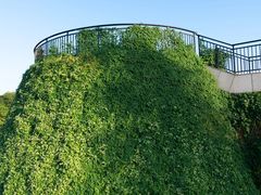 -观澜湖旅游度假区