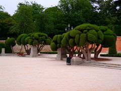 -丽池公园