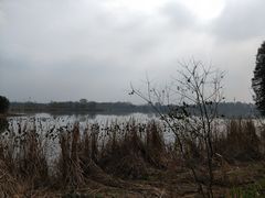 -东湖落雁景区
