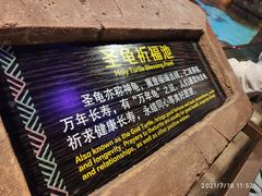 -哈尔滨波塞冬海底世界