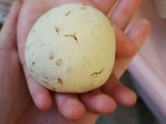 -啊噗吐呦现场烘焙(麦凯乐店)